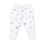 Dinos French Terry Jogger Set