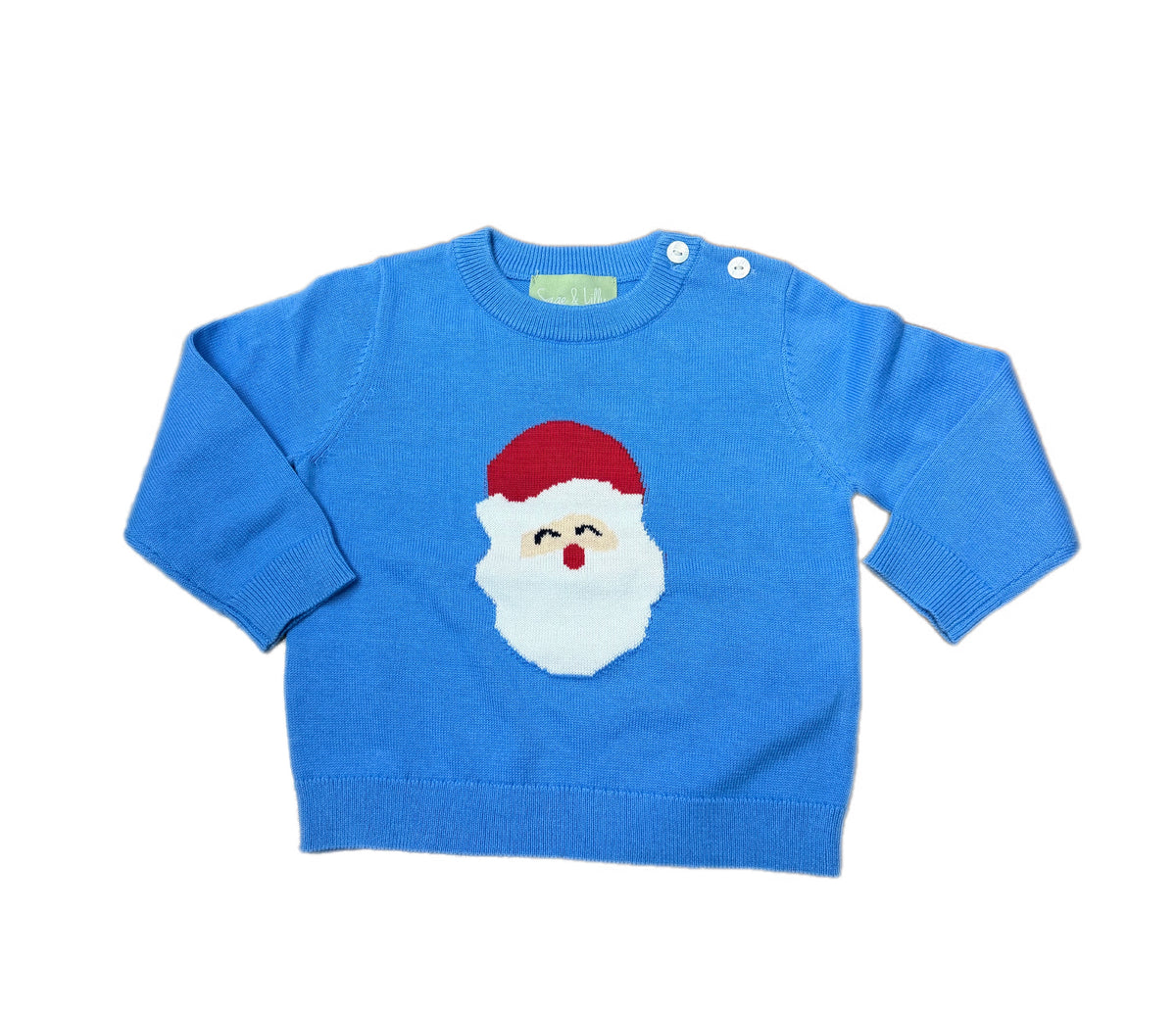 Blue Santa Sweater
