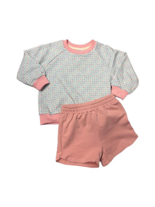 Blue/Pink Floral Sweatshirt Set