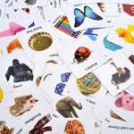 Slapzi Card Picture Game
