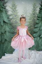 Prima Ballerine Dress, Dusty Rose