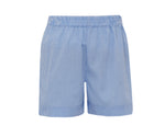 Flags Periwinkle Blue Gingham Boy's Short Set